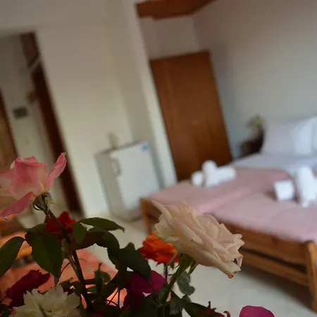 Guest house Athina 3*
