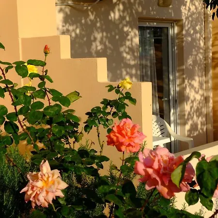 Athina بيت ضيافة 2*