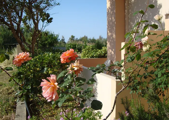 Athina בית הארחה העיירה רתימנו